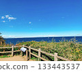 Tokyo Bay as seen from Sarushima 133443537