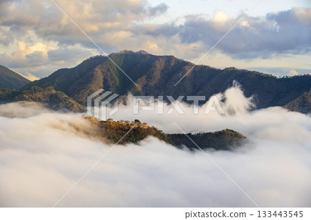 Takeda Castle and sea of clouds in Asago City, Hyogo Prefecture Takeda Castle and sea of clouds in Asago City, Hyogo Prefecture 133443545