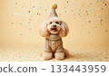 Cute dog with party hat on celebration background. 133443959