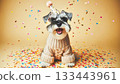 Cute dog with party hat on celebration background. 133443961
