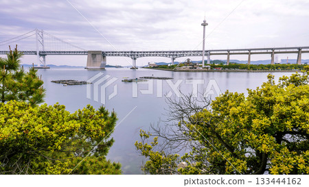 Scenery of Shami Park in Kagawa Prefecture Scenery of Shami Park in Kagawa Prefecture 133444162