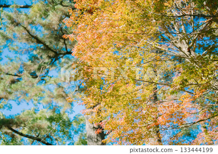 可以欣賞樫小島美麗海景的溫泉 133444199