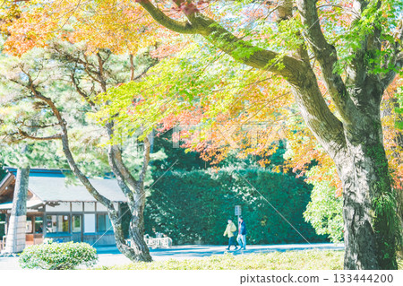 可以欣賞樫小島美麗海景的溫泉 133444200