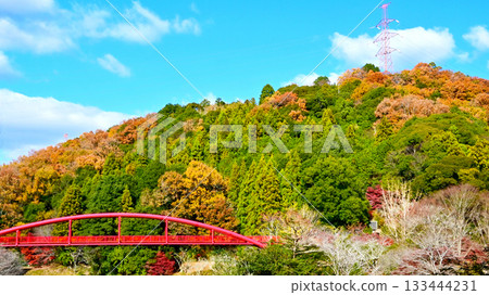 Autumn foliage scenery of Otaki Valley Autumn foliage scenery of Otaki Valley 133444231