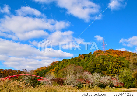 奧塔基山谷的秋葉美景 奧塔基山谷的秋葉美景 133444232