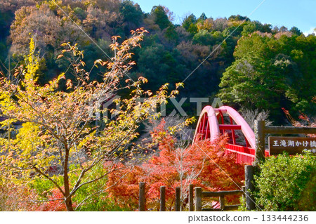 奧塔基山谷的秋葉美景 奧塔基山谷的秋葉美景 133444236