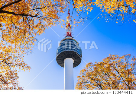 首爾的秋天：南山塔（N首爾塔） 133444411