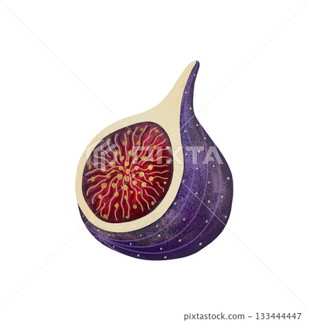 Watercolor fig half. Half of a ripe fig fruit isolated on white background. 133444447