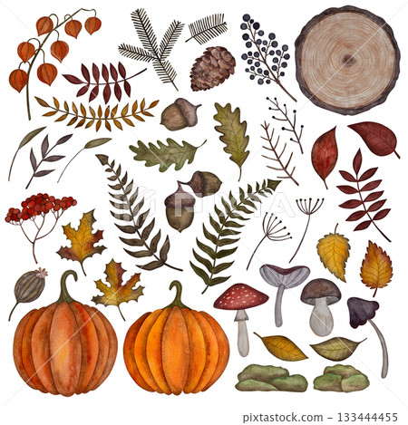 Vibrant watercolor autumn collection featuring mushrooms, berries, branches, pinecones, pumpkins, and assorted leaves on white. Vibrant watercolor autumn collection featuring mushrooms, berries, branches, pinecones, pumpkins, and assorted leaves on white. 133444455