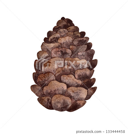 Watercolor pine cone. Brown pine cone isolated on white background. Watercolor pine cone. Brown pine cone isolated on white background. 133444458