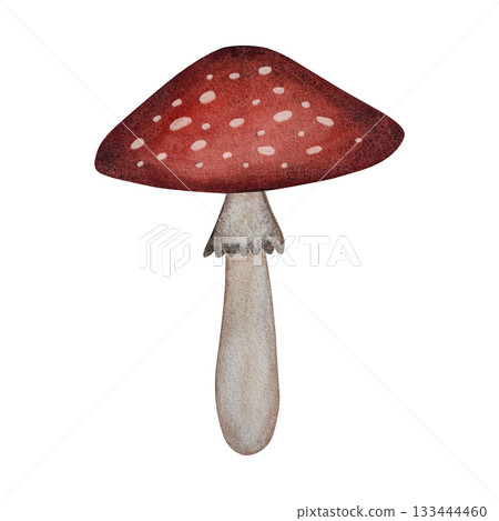 Watercolor fly agaric mushroom. Red cap with white spots, forest mushroom isolated on white. Watercolor fly agaric mushroom. Red cap with white spots, forest mushroom isolated on white. 133444460