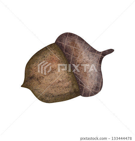 Watercolor autumn acorn. Single green-brown oak acorn isolated on white background. Watercolor autumn acorn. Single green-brown oak acorn isolated on white background. 133444478