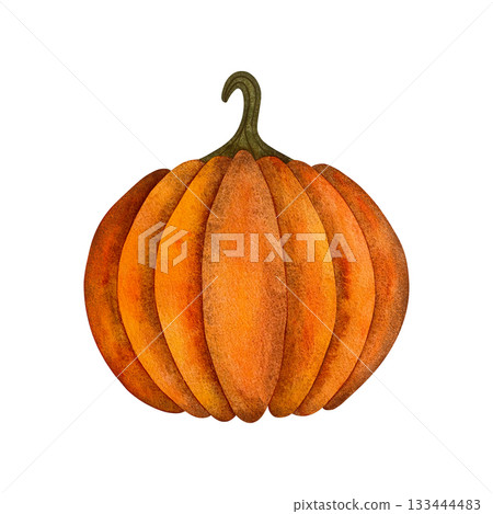 Watercolor autumn pumpkin. Ripe orange autumn pumpkin isolated on white background. 133444483