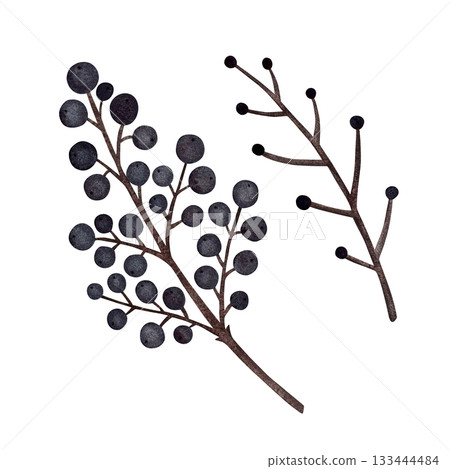 Watercolor autumn berry branch. Brown bare branch with blue berries isolated on white. 133444484