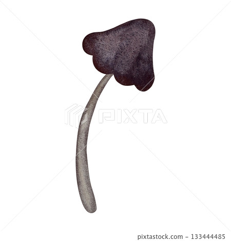Watercolor forest mushroom. Mushroom with purple cap and gray stem isolated on white background. 133444485