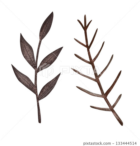 Watercolor autumn branch. Autumn branch with brown leaves isolated on white background. 133444514