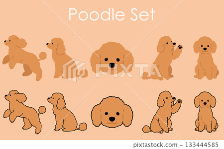 Simple and cute brown poodle illustration set Simple and cute brown poodle illustration set 133444585