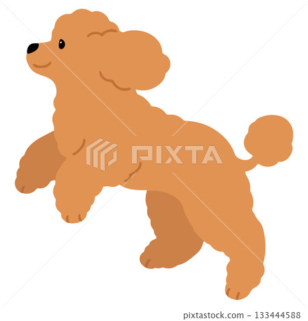 一幅簡單可愛的棕色貴賓犬奔跑插圖（沒有主要線條）。 133444588