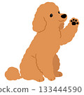 一幅簡潔可愛的插畫，描繪了一隻棕色貴賓犬坐著揮手。沒有主要線條。 133444590
