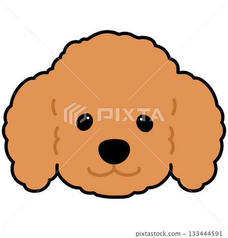 Simple and cute illustration of a brown poodle's face with outlines 133444591