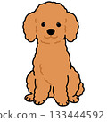 一幅簡潔可愛的插圖，描繪了一隻棕色貴賓犬坐著，面向前方，輪廓清晰。 133444592