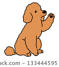 一幅簡單可愛的插圖，描繪了一隻棕色貴賓犬坐著揮手（帶有輪廓線）。 133444595