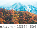 Beautiful mountains with autumn leaves and snow 133444604