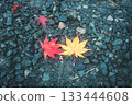 Red and orange maple leaves 133444608