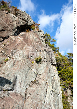 Tarobo Shrine [Married Couple Rocks 1], Higashiomi City, Shiga Prefecture, January 2025 133444732