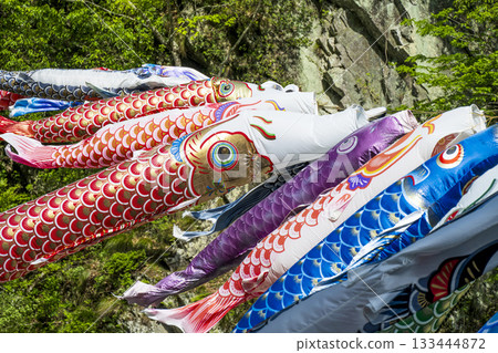 德島縣大伏町的景色 133444872