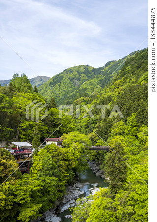 Scenery of Iya Valley, Tokushima Prefecture 133444875