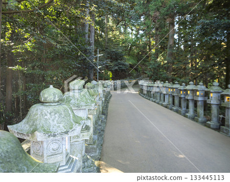 Stone lanterns on the approach to the shrine shrouded in silence Stone lanterns on the approach to the shrine shrouded in silence 133445113