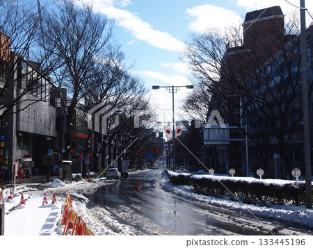 Snowy Tokyo | Omotesando's Winter Landscape Snowy Tokyo | Omotesando's Winter Landscape 133445196
