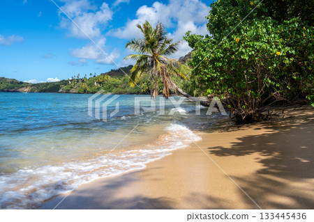 Anaho Bay and beach with palm trees, Nuku Hiva, French Polynesia Anaho Bay and beach with palm trees, Nuku Hiva, French Polynesia 133445436