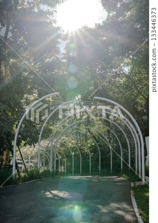 A white metal tunnel stands in a lush garden with trees on both sides, and soft daylight filters through the curved frame and hanging lights. 133446373