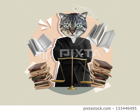 Legal symbolism collage featuring a cat representing justice. Vector illustration 133446495