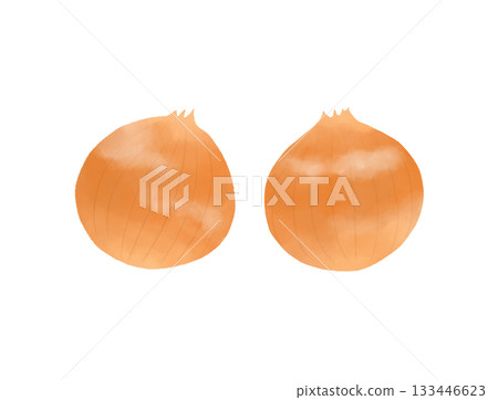 簡單的洋蔥插圖 133446623