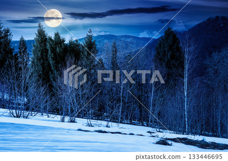 mountain landscape with mixed forest on snow covered slope at night. dark sky with clouds in full moon light. early spring. background for investment or abstract concepts. naked trees 133446695