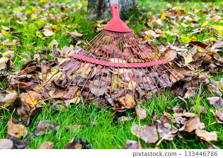 front view of red fan rake removes fallen leaves front view of red fan rake removes fallen leaves 133446786