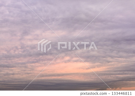 gray and pink cloudy sky in warm autumn dusk gray and pink cloudy sky in warm autumn dusk 133446811
