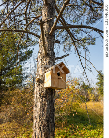 A birdhouse is perched on a tree branch 133446910