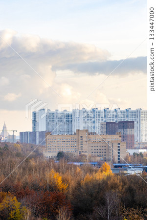 view of large high-rise buildings and city park 133447000