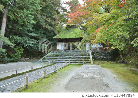 The leaves of Honen-in Temple are beginning to change color. The temple gate and the white sand platform (Sakyo Ward, Kyoto City) 133447884