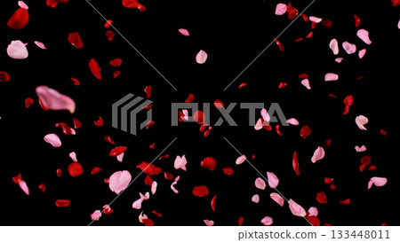 Freeze motion of flying rose petals isolated on black background. Freeze motion of flying rose petals isolated on black background. 133448011