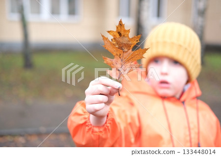 Child discovering autumn oak leaf with wonder outdoors 133448014