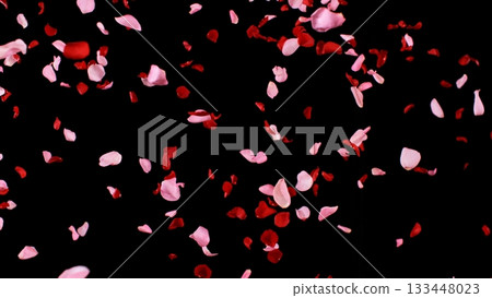 Freeze motion of flying rose petals isolated on black background. Freeze motion of flying rose petals isolated on black background. 133448023