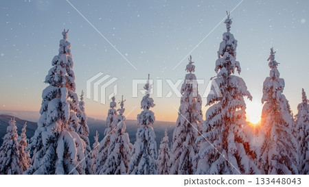 Aerial view of beautiful winter mountains with fresh powder snow 133448043