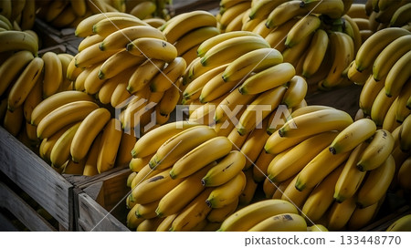 A bountiful harvest of ripe bananas stacked high in wooden crates at the market 133448770