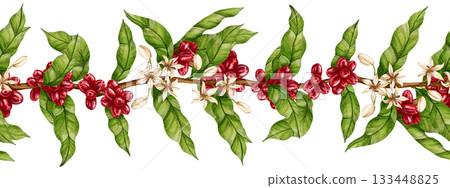 Hand drawn watercolor seamless border featuring a coffee branch with red berries, green leaves, and flowers. Perfect for coffee shops, menu design, product packaging, and store branding. Hand drawn watercolor seamless border featuring a coffee branch with red berries, green leaves, and flowers. Perfect for coffee shops, menu design, product packaging, and store branding. 133448825