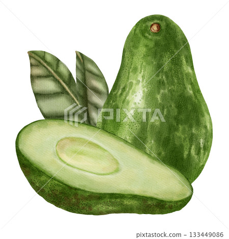 A hand-drawn watercolor illustration of an avocado composition with slices and leaves. Suitable for stores, cafes, packaging, menus, and products related to cooking, skincare, and health. 133449086